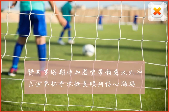 赞布罗塔期待加图索带领意大利冲击世界杯手术恢复顺利信心满满