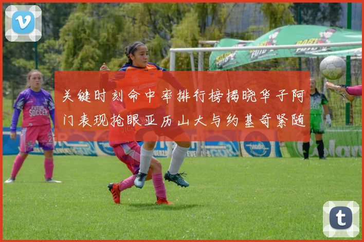 关键时刻命中率排行榜揭晓华子阿门表现抢眼亚历山大与约基奇紧随其后