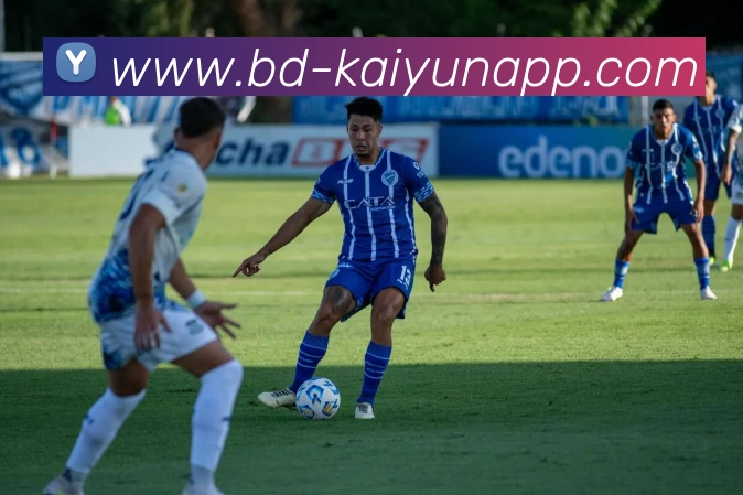 开云体育APP 封面图